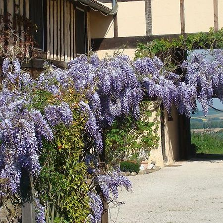 Gite Du Paradis Vieuzos ภายนอก รูปภาพ