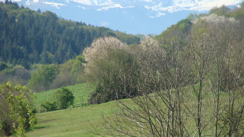 Gite Du Paradis Vieuzos ภายนอก รูปภาพ